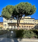 Piazza dei Ciompi piazza-dei-ciompi-2024.jpeg