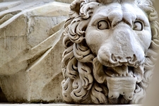 Florence-on-line.com is leaving X, You Should Too marble-lion.JPG