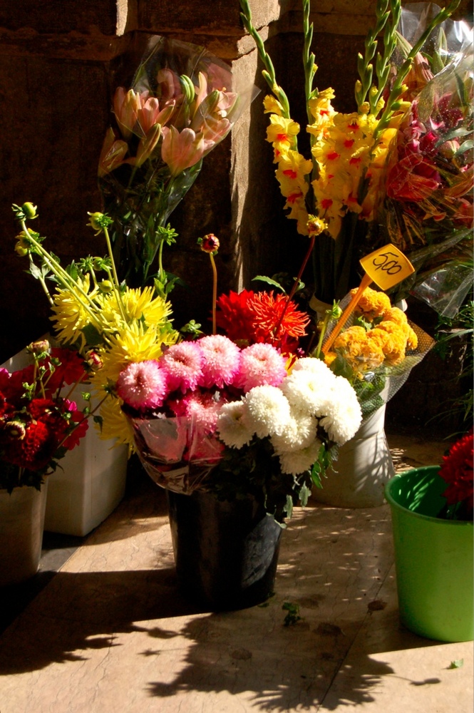 Cut flowers from the Thursday flower market