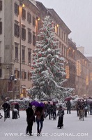 christmas-tree-snow.jpg