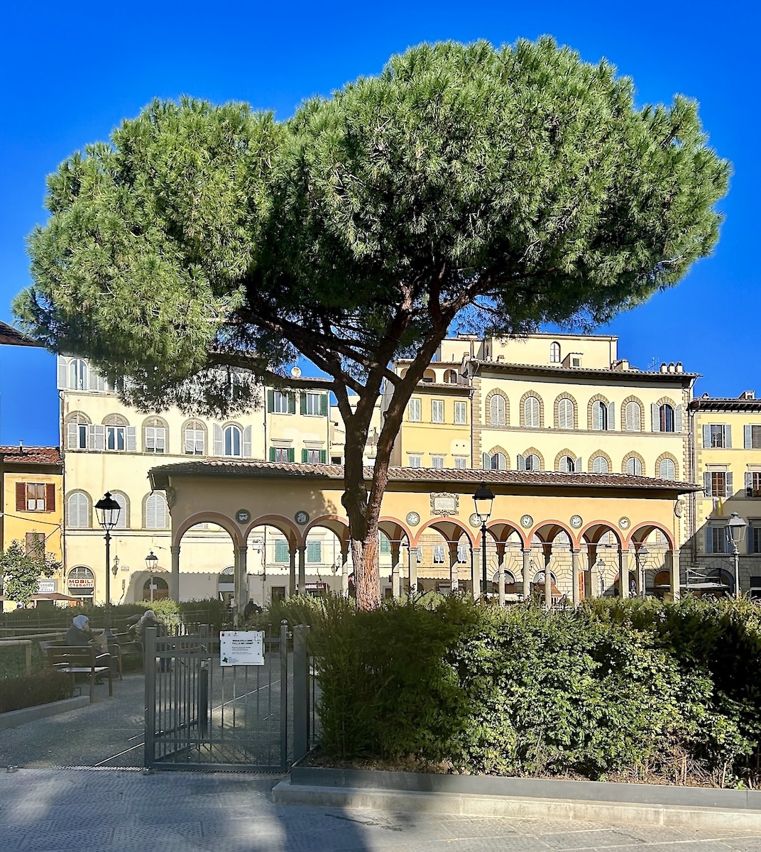 piazza-dei-ciompi-2024.jpeg