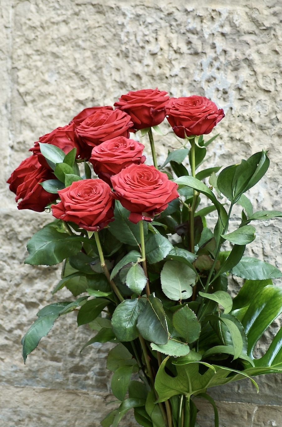 A red rose bush https://florence-on-line.com/images/red-roses.jpg