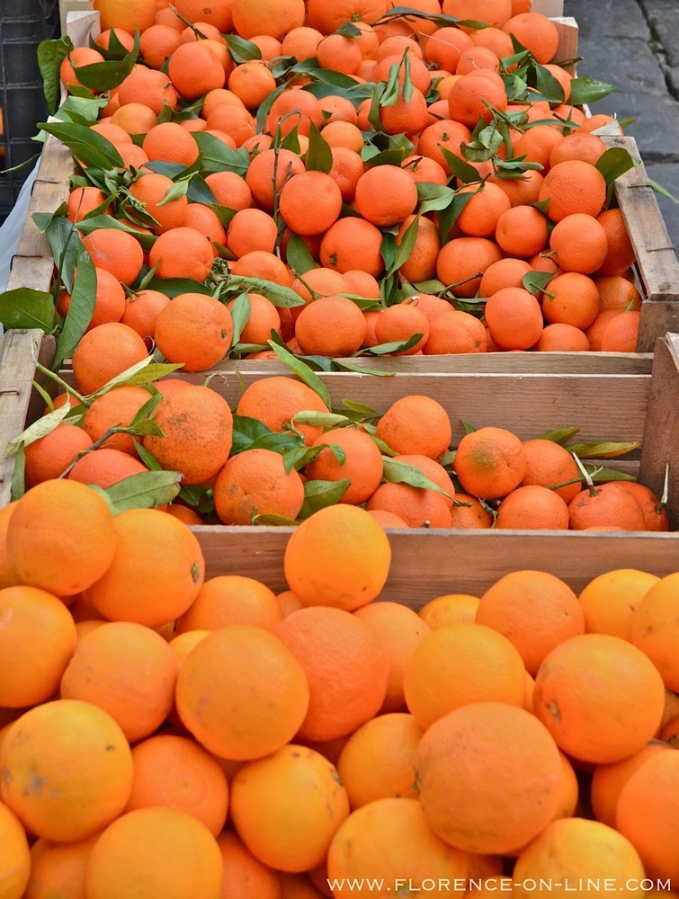 oranges-clementines.jpg