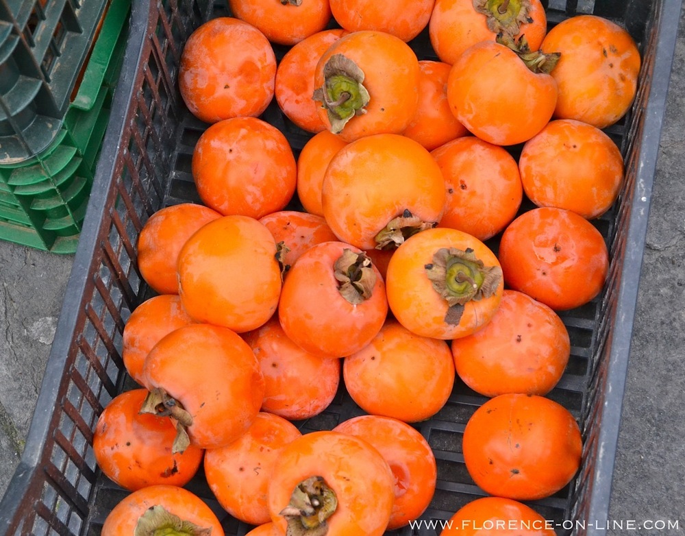 persimmons-cachi.jpg