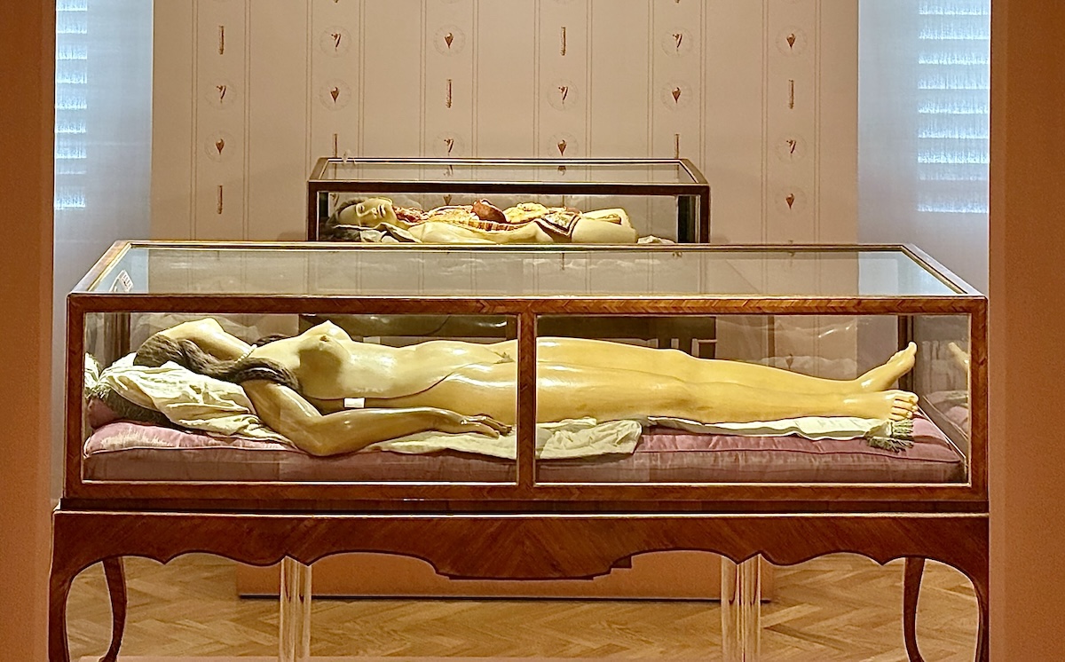 Anatomical wax models in the Specola Museum wax-models-specola-museum.jpeg